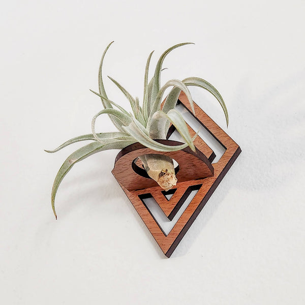 Wooden Air Plant Holder, Diamond