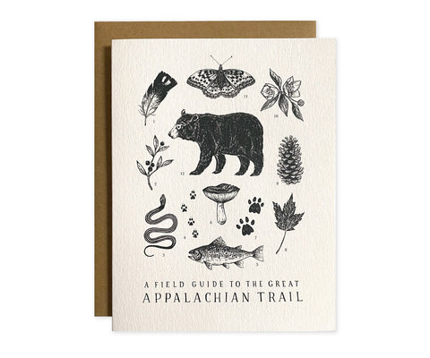 The Wild Wander Greeting Cards