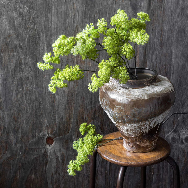 Guelder, Spring Green - Artificial Stem