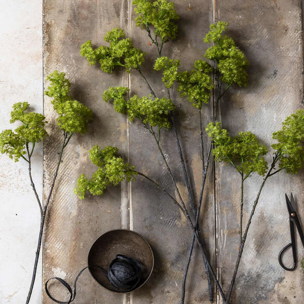 Guelder, Spring Green - Artificial Stem