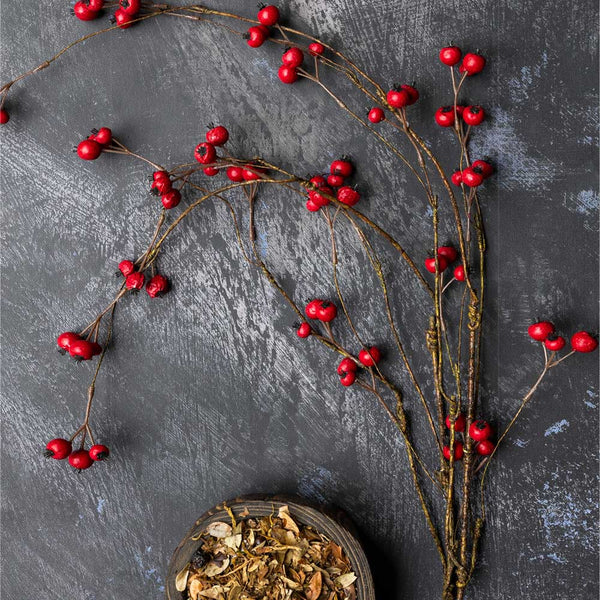 Hawthorn Berry, Ruby - Artificial Stem