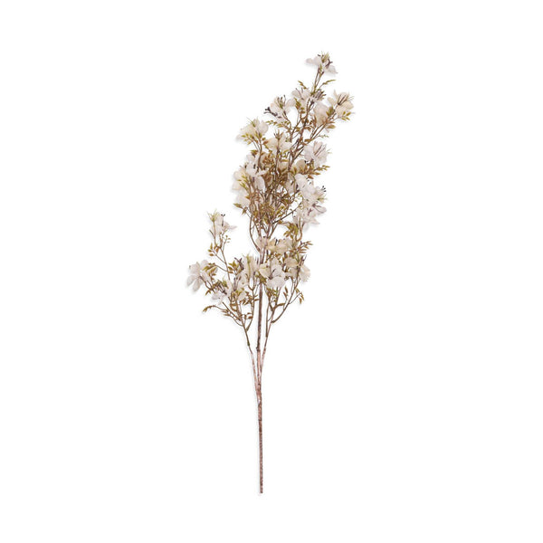 Prunus Blossom, Cream - Artificial Stem