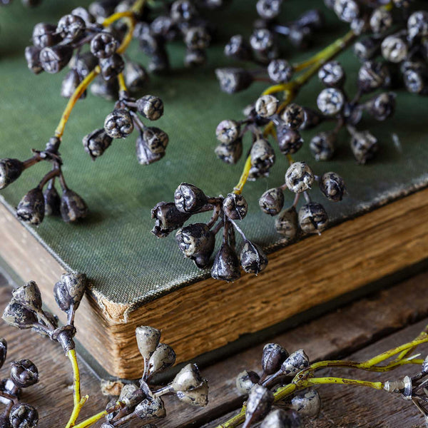 Salix Berry - Artificial Stem