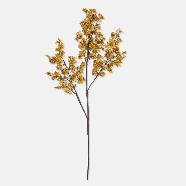Artificial Sedge, Winter Saffron