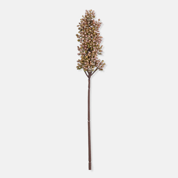 Artificial Sorghum, Sunrise