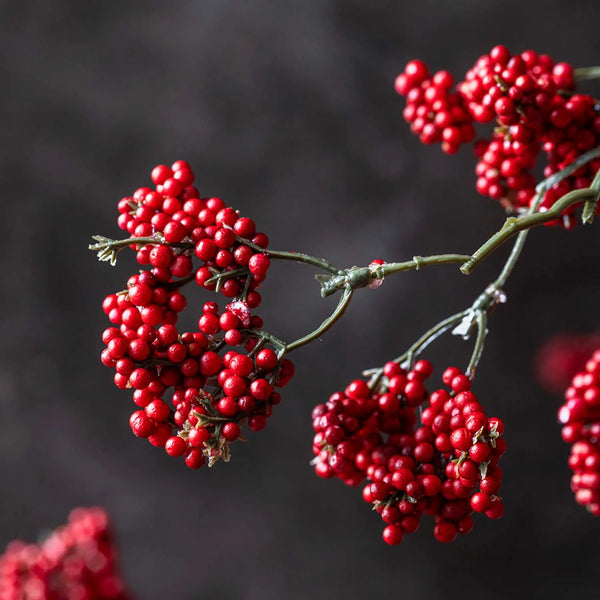 Wild Winter Berry, Ruby - Artificial Stem