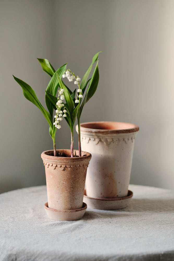 Castle Pot | Raw | Rosa | Tall