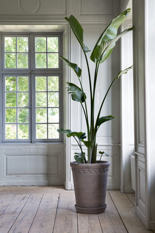 Large Castle Pot | Raw | Tall | Grey