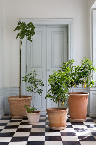 Large Castle Pot | Raw | Rosa