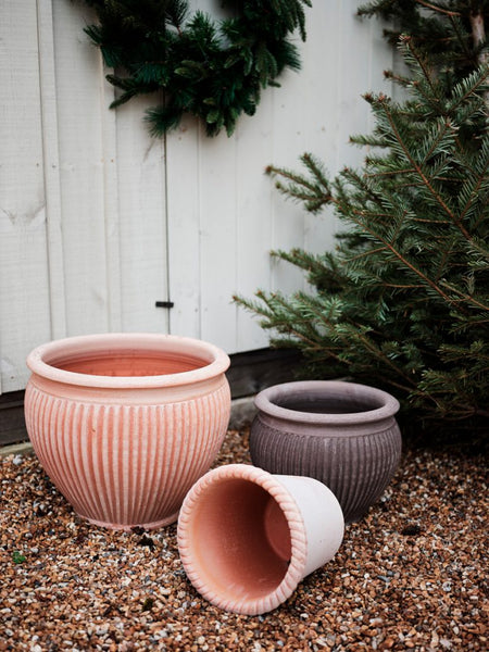 Piccolina | Raw | Rosa or Grey