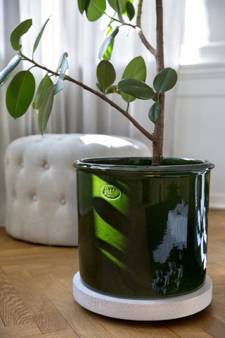 Modena - Glazed Cachepot