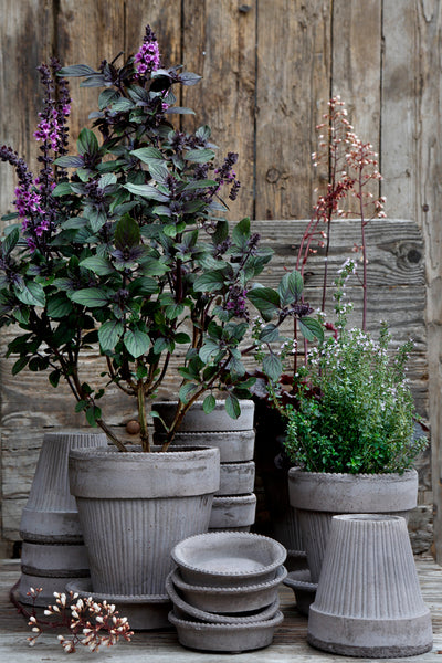 Simona - Raw Grey Pots