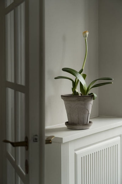 Fleur Pot | Raw | Grey