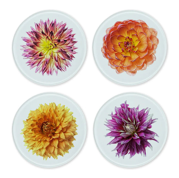 Glass Coasters | Set of 4