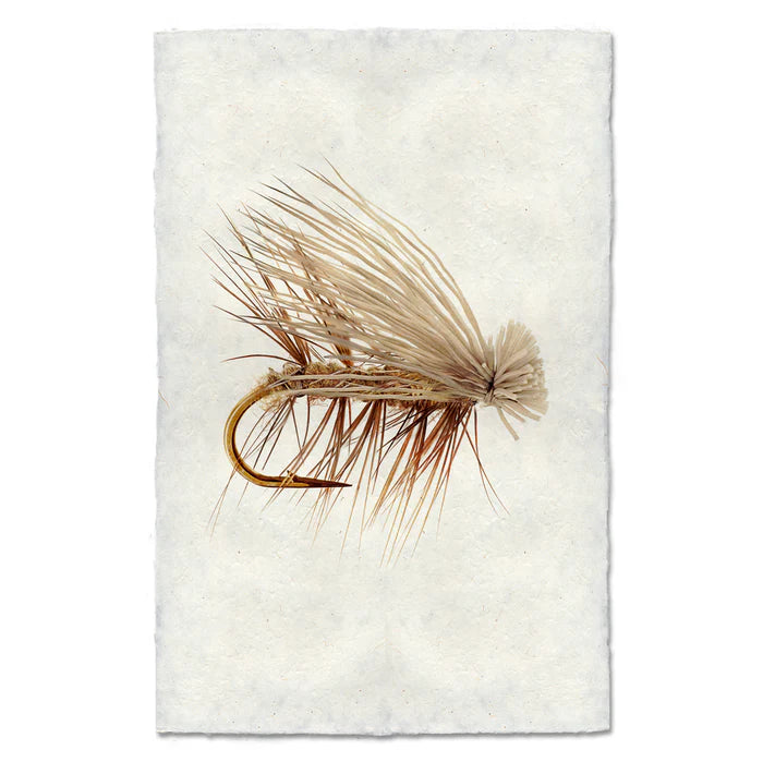 Elk Hair Caddis