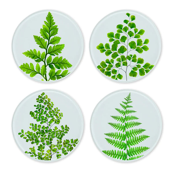 Glass Coasters | Set of 4