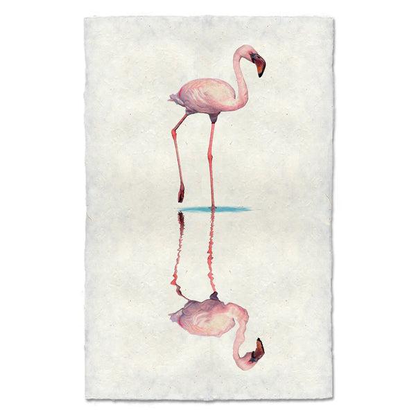Flamingo #1