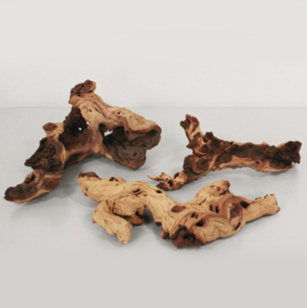 Single Driftwood (Petrified)