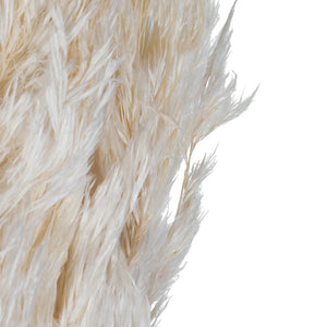 Bleached Plume Reed Bundle | 10 Stems