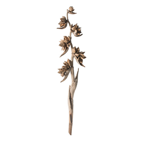 Star Pod Stalk 5-6'