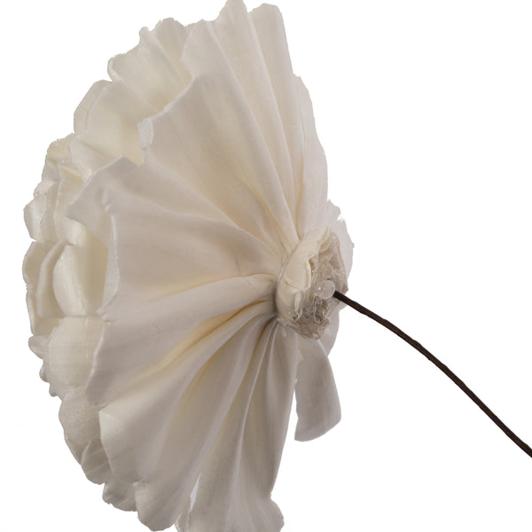 Natural Dried Camellia Sola Flower | 3 Stems