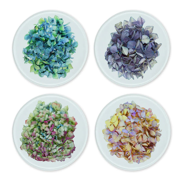 Glass Coasters | Set of 4