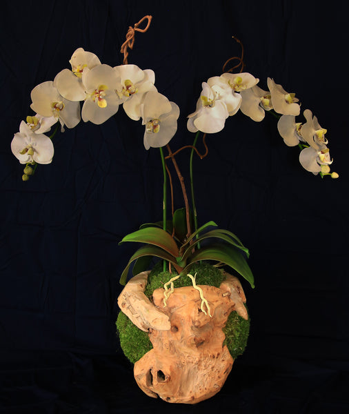 8" Orb Orchid (Single or Double)