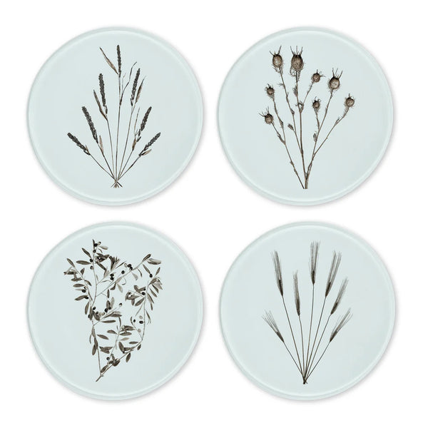 Glass Coasters | Set of 4