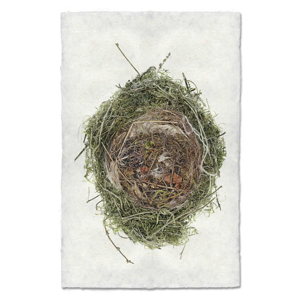 Nested in Lichen