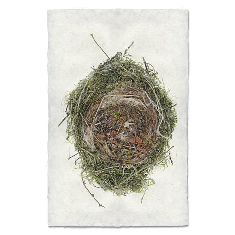 Nested in Lichen