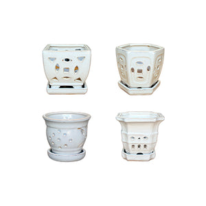 5″ White Orchid Pot - Assortment
