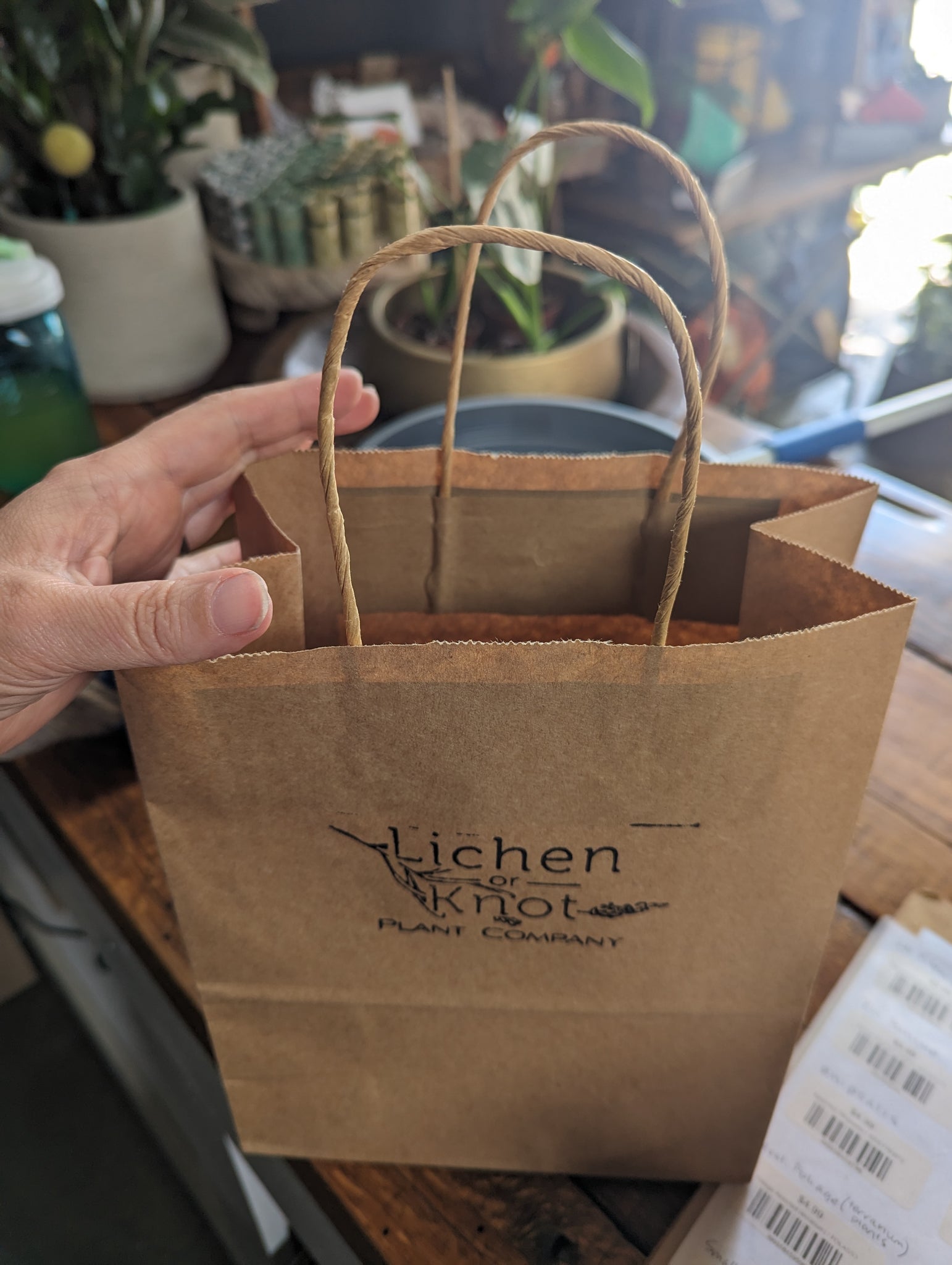 small bag of indoor plant soil Potting Soil