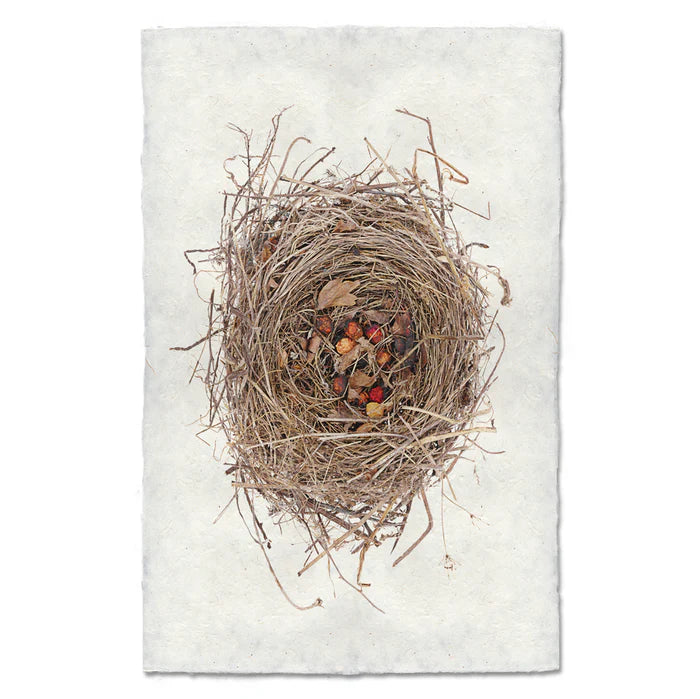 Red Berry Nest
