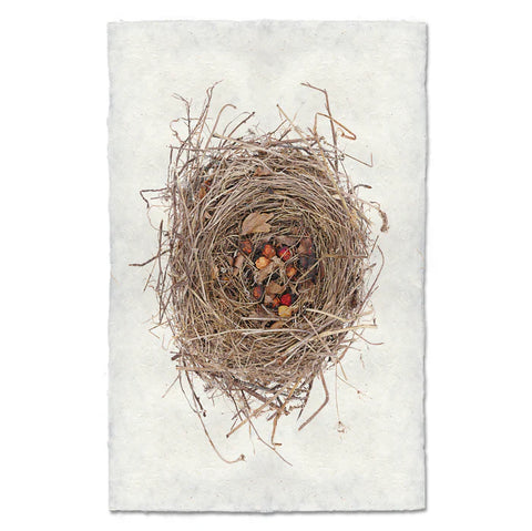 Red Berry Nest