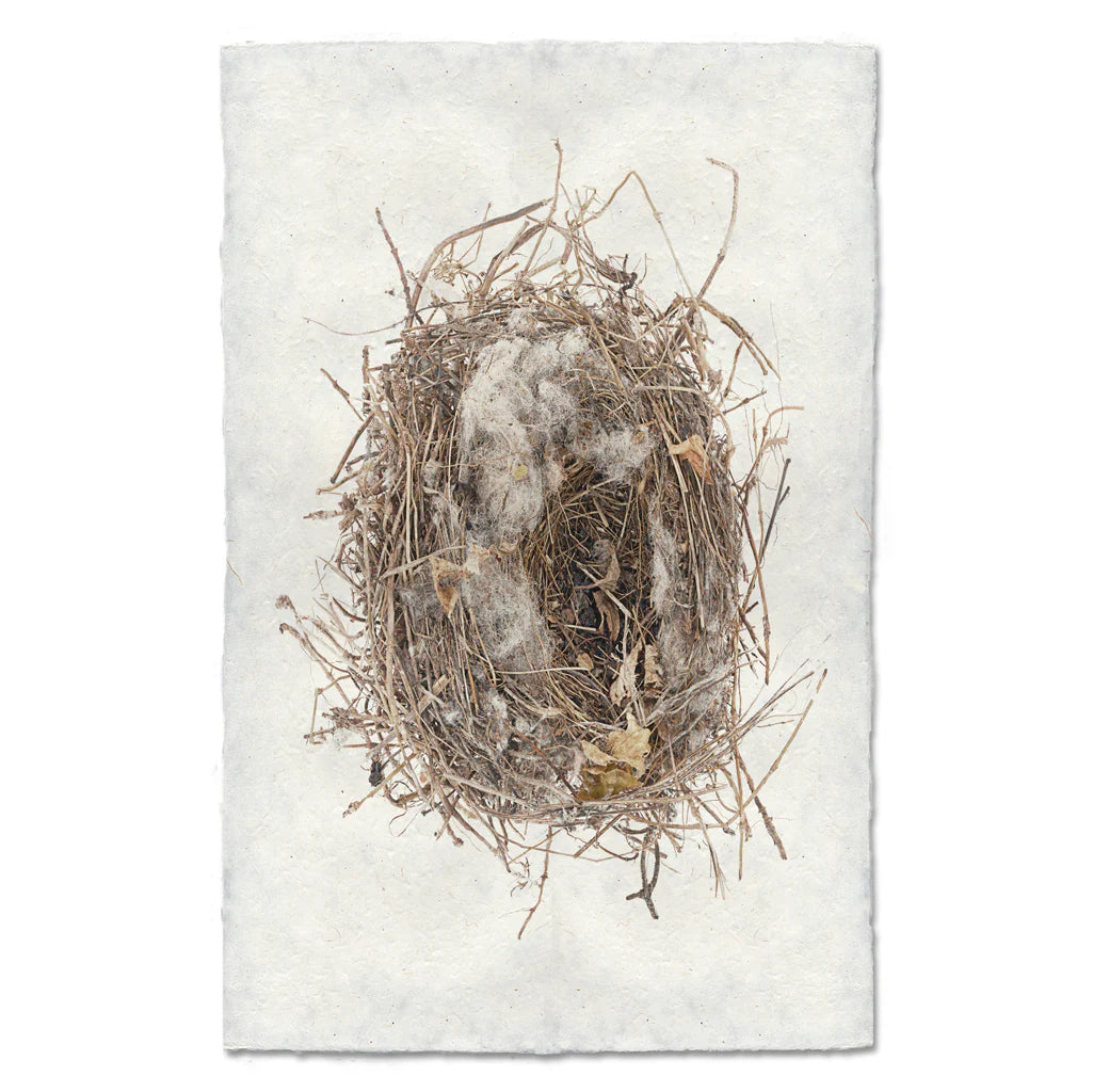 Scattered Leaves Nest