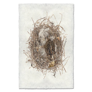 Scattered Leaves Nest