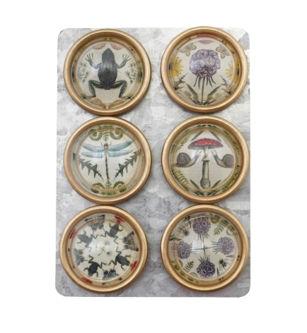 Resin Magnets with Animals & Botanicals & Gold Finish, Set of 6