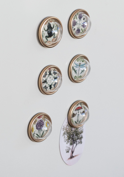 Resin Magnets with Animals & Botanicals & Gold Finish, Set of 6