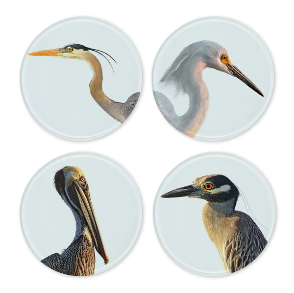 Glass Coasters | Set of 4