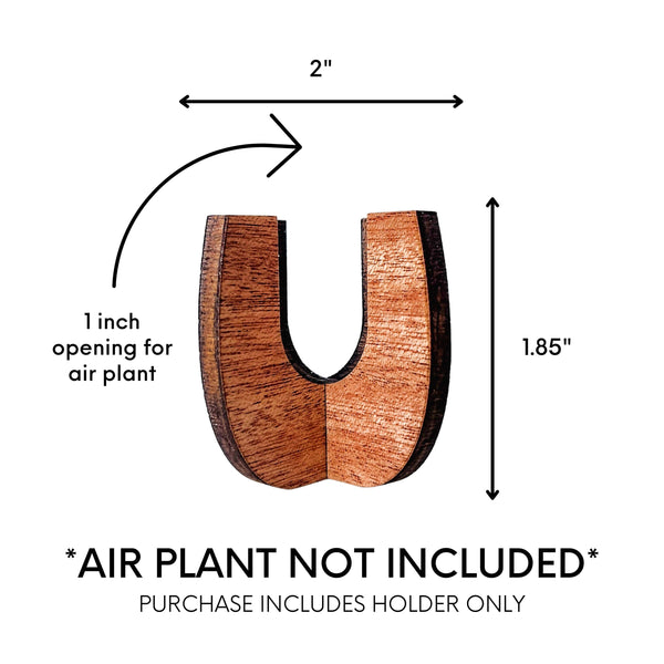 Wooden Air Plant Stand - Curved Sides
