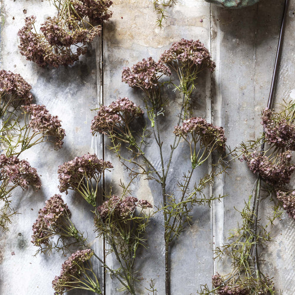 Dill Flower - Artificial Stems