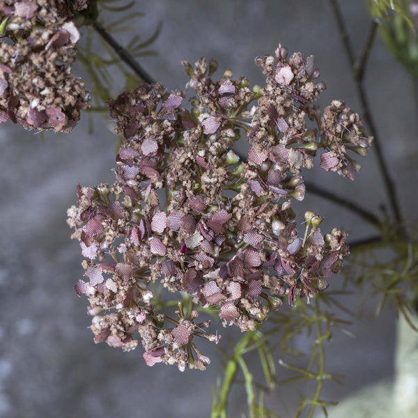 Dill Flower - Artificial Stems