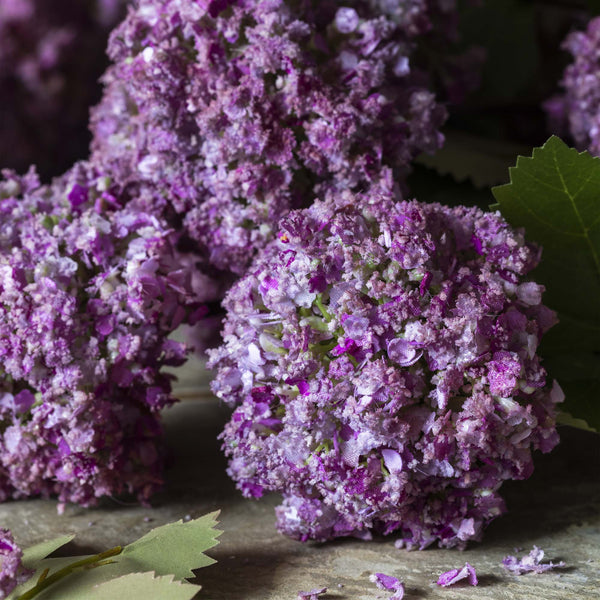 Guelder Rose Mauve - Artificial Stem