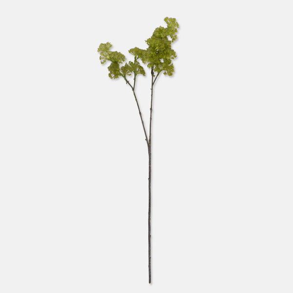 Guelder, Spring Green - Artificial Stem