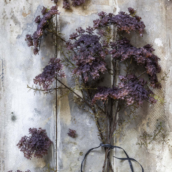 Queen Anne's Lace Purple - Artificial Stem