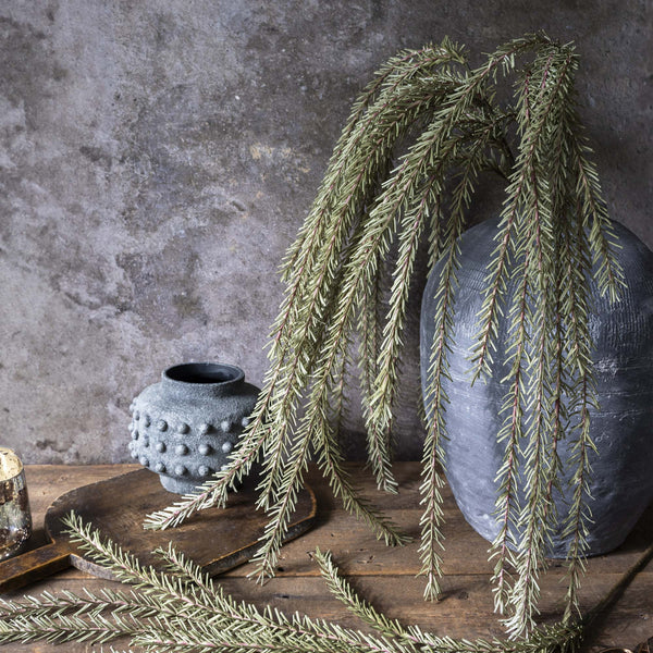 Trailing Rosemary - Artificial Stem