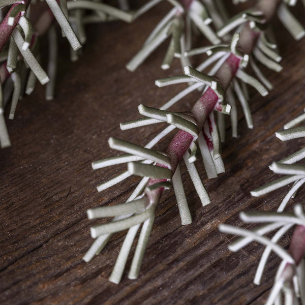 Trailing Rosemary - Artificial Stem