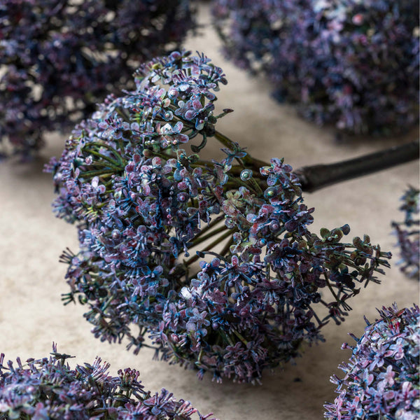 Trachelium Mauve - Artificial Stem