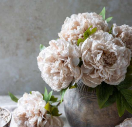 Peony Evening Dew - Artificial Stem