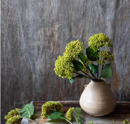 Viburnum Olive - Artificial Stem